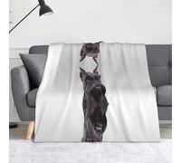 Cute Schnauzer Dog 60"X50"Soft Flannel Fleece Blanket-Lightweight Warm Single-Sided Printed Throw Blanket For Sofa,Camping,Travel-Anti-Pilling,Machine Washable