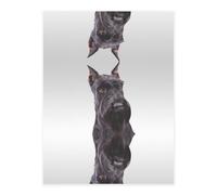 Cute Schnauzer Dog Crystal Sticker, 3D Stereoscopic Effect, Pattern Does Not Fall Off When Exposed to Water