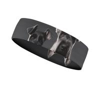 Cute Schnauzer Dog Workout Headband for Men and Women Moisture Wicking Headband for Tennis, Basketball, Running, Gym Outdoor Sports Sweatband