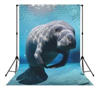 Cute Sea Animal Manatee Print Photo Studio Background 5x7ft Soft Photo Backdrop Curtain For Studio Content Creator Equipment