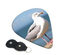 Cute seagull Guitar Picks 6 Pack with Leather Guitar Pick Holder Keychain, Plectrum Key Fob Cases Bag, Abstract Art Plectrum for Acoustic Electric Guitar, Ukulele 0.71mm