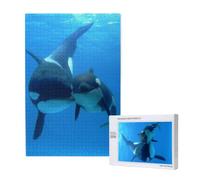 Cute Shark Pattern, Killer Whale Pattern,1000 Pieces Adults Puzzle Game Challenging Puzzles,Jigsaw Puzzles