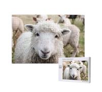 Cute Sheep Lamb,1000 Pieces Wooden Jigsaw Family Game Jigsaw Puzzles for Adults Teens Home Decor