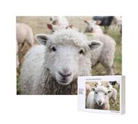 Cute Sheep Lamb,500 Pieces Wooden Jigsaw Family Game Jigsaw Puzzles for Adults Teens Home Decor