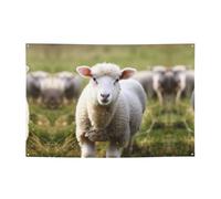 Cute Sheep Lamb Banner Party Decor Backdrop Banner Birthday Party Photography Background Decorations 47 x 71 Inch Flag Indoor Outdoor Wall Decor Banner Party Supplies Favors