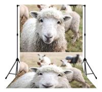 Cute Sheep Lamb Printed Shooting Backdrop Cloth, Soft Wrinkle Free Background, Versatile Studio Display Prop