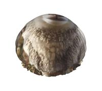 Cute Sheep Lamb Shower Cap for Women Double Layers Thick Hair Caps Reusable Waterproof Bath Caps with Elastic Band Hair Hat Washable Shower Hat for Men Women Spa Salon