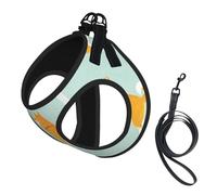 Cute Shiba Inu Puppy,Pet Harness,Adjustable Reflective Dog Harness,Pet Leash Vest,S