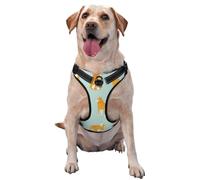 Cute Shiba Inu Puppy,Pet Harness,Adjustable Reflective Dog Harness,Pet Leash Vest,XL