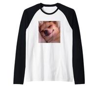 Cute Sleeping Chihuahua Face Funny Blurry Dog Meme Raglan Baseball Tee