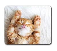 Cute Sleeping Ginger Cat Kitten Mouse Mat Pad Computer PC Laptop Gaming Office Home Desk Accessory Gadget 13113