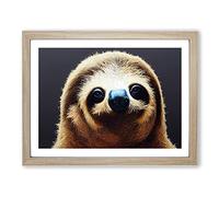 Cute Sloth Framed Print | A2 Oak Framed Wall Art | Ready to Hang | Modern Nature Picture | Living Room Bedroom Lounge Office