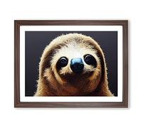 Cute Sloth Framed Print | A2 Walnut Framed Wall Art | Ready to Hang | Modern Nature Picture | Living Room Bedroom Lounge Office