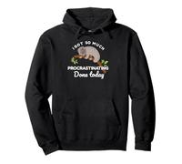 Cute Sloth I Got So Much Procrastinating Done Today Pullover Hoodie