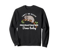 Cute Sloth I Got So Much Procrastinating Done Today Sweatshirt