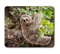 Cute Sloth Lazy ny Animal Mouse Mat Pad Computer PC Laptop Gaming Office Home Desk Accessory Gadget 2087