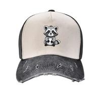 Cute Smiling Raccoon Baseball Cap Sports Cap Kids Hat Icon Sun hat Men Golf Wear Women's