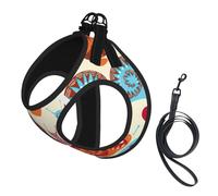 Cute Snail Print Dog Harness Small Sized And Leash Set, Step In Soft Light Puppy Vest Breathable Mesh Pet Harness