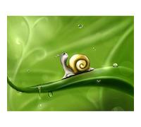 Cute Snail Rain Large Wall Art Print Canvas Premium Poster