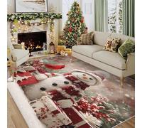 Cute Snowman Rugs - Cardinal Gifts Christmas Area Rugs for Living Room Bedroom, Washable Non Slip Low Pile Carpet 80x120 cm, Patterned Rug & Christmas Decorations QAZ42