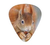 Cute Squirrel,12 Pcs Guitar Pick,3 Different Thickness Plectrums for Acoustic Guitar Bass Ukulele (0.46mm 0.96mm 0.71mm)