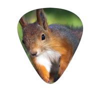 Cute Squirrel,12 Pcs Guitar Pick,3 Different Thickness Plectrums for Acoustic Guitar Bass Ukulele (0.46mm 0.96mm 0.71mm)