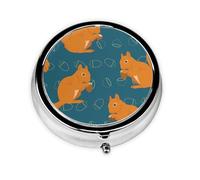 Cute Squirrel Animal PatternMeta Pill Box 3 Compartment Medicine Case,Portable Organizer