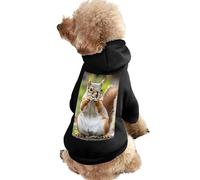 Cute Squirrel Casual Pet Hoodie Clothes for Dog Cat Coat Outfit with Hat