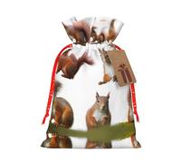 Cute Squirrel Christmas Drawstring Sack Gift Bag, Lightweight And Cute In Design