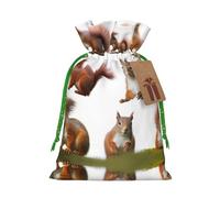 Cute Squirrel Christmas Drawstring Sack Gift Bag, Lightweight And Cute In Design
