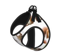 Cute Squirrel Compact Pet Suspender Vest-The Perfect Small Pet For A Comfortable Walk