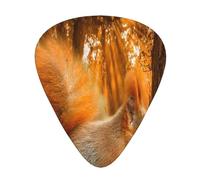 Cute Squirrel Eating Nuts,12 Pcs Guitar Pick,3 Different Thickness Plectrums for Acoustic Guitar Bass Ukulele (0.46mm 0.96mm 0.71mm)