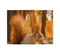Cute Squirrel Eating Nuts,500 Pieces Puzzles for Adults-Wooden Jigsaw Puzzle for Adults Elderly