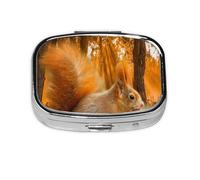 Cute Squirrel Eating Nuts,Meta Pill Box 2 Compartment Medicine Case,Portable Organizer,Rectangle Meta Portable Organizer Pill Box 1654 Compartment Medicine Case