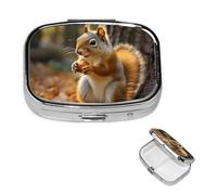 Cute Squirrel Eating Nuts Pill Case with Mirror Retro 2 Compartment Pill Box Small Pill Organizer for Purse or Pocket Decorative Metal Medicine Vitamin Organizer Unique Gifts