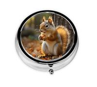 Cute Squirrel Eating Nuts Pill Case with Mirror Retro 3 Compartment Pill Box Small Pill Organizer for Purse or Pocket Decorative Metal Medicine Vitamin Organizer Unique Gifts