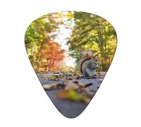Cute Squirrel Guitar Pick 12 Picks Fashion Personalized Bass Pick Durable Electric Guitar Plectrums Instrument Accessories