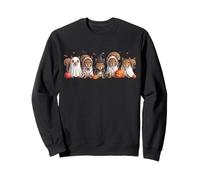 Cute Squirrel Halloween Costume Funny Witch Squirrel Ghost Sweatshirt