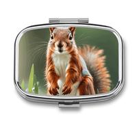Cute Squirrel Pill Box, 2 Compartments, Portable Pill Organizer for Pocket or Purse, Decorative Metal Medicine and Vitamins Organizer