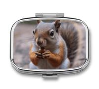 Cute Squirrel Pill Organizer Small Pill Box with Two Compartments Pill Case Metal Medicine Organizer Portable Medicine Box Holder Medication Holder Travel Pill Container
