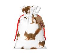 (Cute Squirrel) Print Christmas New Year Candy Gift Bag, Red Xmas Ribbon Drawstring Bags for Kids Xmas Holiday Eve Presents S Size