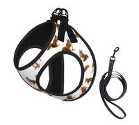 Cute Squirrel Print Dog Harness and Leash Set,Breathable Adjustable Escape Proof Vest for Dogs, Cats