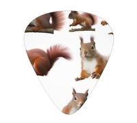 Cute Squirrel Print Guitar Picks 12-Pack - Assorted Thickness Picks (0.46mm, 0.71mm, 0.96mm) with Storage Box & Assorted Unique Design for Acoustic, Electric, Bass, and Ukulele Players