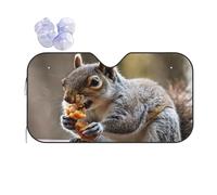 Cute Squirrel -Print Reflective Windshield Sun Shade For Cars M Size - Heat Resistant Suction Cups, Universal Fit.