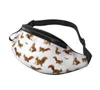 Cute Squirrel Print Waist Bag for Hiking Cycling Running and Outdoor Activities Lightweight Pack