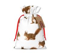 Cute Squirrel Printed Christmas Drawstring Bags with Red Ribbon - Reusable Burlap Drawstring Gift Pouches, M
