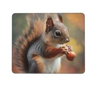Cute Squirrel Printed Gaming Mouse Pad 12x10 Inches, Non-Slip Rubber Base Laptop Mousepad Desk Mat with Stitched Edges for Gamer, Office, Home