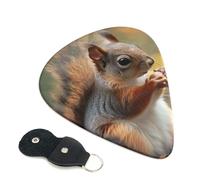 Cute Squirrel Printed Guitar Picks, 6 Pack with Leather Keychain Pick Holder - 0.46mm, 0.71mm, 0.96mm Assorted Thickness for Acoustic Ukulele, Electric Guitar, Acoustic Guitar, Bass