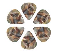 Cute Squirrel Printed Guitar Picks -6 Pcs Guitar Picks Plectrum,Guitar Accessories,Electric Guitar Pick, Bass & Ukulele 0.71mm