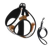 Cute Squirrel printing Puppy Harness, Dog Harness and Leash Set, Soft Mesh Reflective Breathable Lightweight Vest-Style